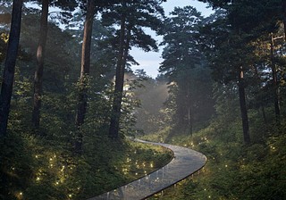 Звенигород — Гостиный Город