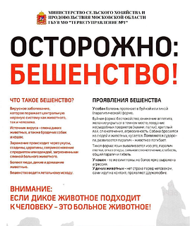 С начала года в Одинцовском округе выявлено два случая бешенства