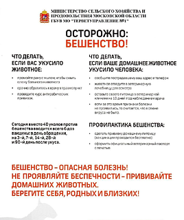 С начала года в Одинцовском округе выявлено два случая бешенства