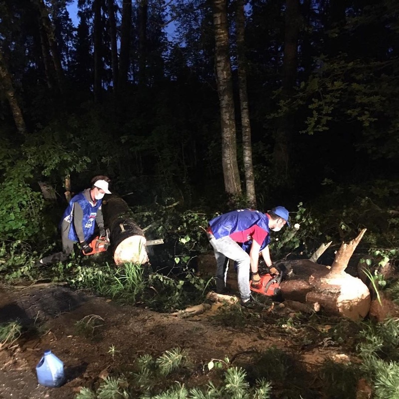 Волонтёры помогли убрать поваленные ветром деревья с территории Инфекционной больницы Звенигорода, Июнь