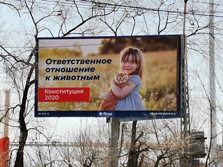 Как поправки в Конституцию защитят экологию и животных
