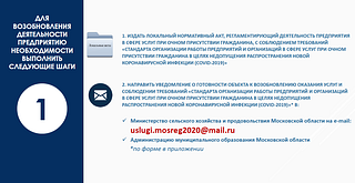 Онлайн-конференция по возобновлению работы предприятий прошла в Одинцовском округе