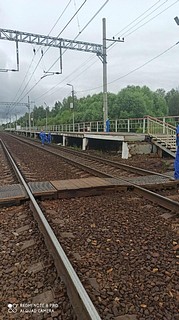 У железнодорожной платформы «Портновская» электричка сбила женщину