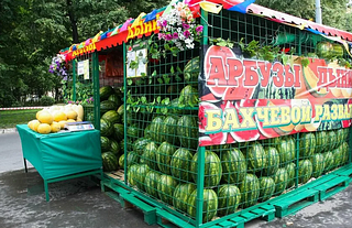 Сезон продажи арбузов откроется в Одинцовском округе 1 августа