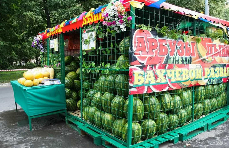 Сезон продажи арбузов откроется в Одинцовском округе 1 августа, Июль