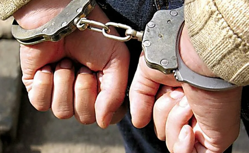 Одинцовские полицейские задержали грабителей, Июль