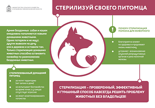 Минсельхоз Московской области проводит разъяснительную работу по стерилизации домашних животных