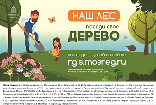 Акция «Наш лес. Посади своё дерево» пройдёт в Одинцовском городском округе