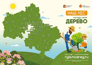 Акция «Наш лес. Посади своё дерево» пройдёт в Одинцовском городском округе