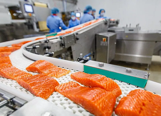 Комплекс по переработке рыбной продукции появится в Одинцово