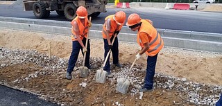 Студенты-дорожники из Санкт-Петербурга приняли участие в реконструкции трассы М-1 «Беларусь»