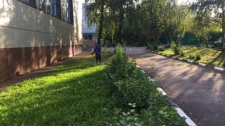Партийцы привели в порядок территорию школы в деревне Ликино