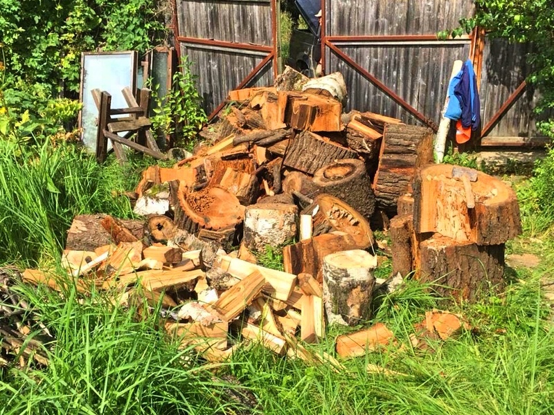 Партийцы помогли супругам-ветеранам из Лесного городка заготовить дрова на осень и зиму, Сентябрь
