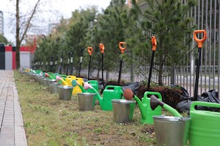 Акция «Сохраним лес» стартовала в Одинцовском округе
