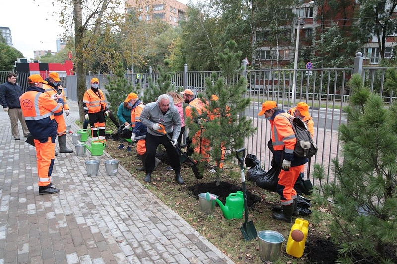 Акция «Сохраним лес» стартовала в Одинцовском округе, Сентябрь