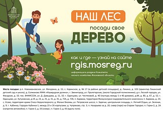 Акция «Наш Лес. Посади свое дерево 2020» пройдет в Одинцовском округе 19 сентября