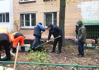 Партийцы помогли благоустроить палисадник на бульваре Любы Новосёловой в Одинцово