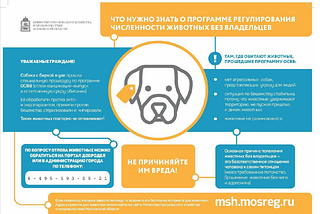 Собака с биркой в ухе привита от бешенства