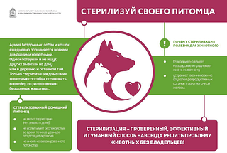 Не бросайте животных на даче! Проявляйте гуманность