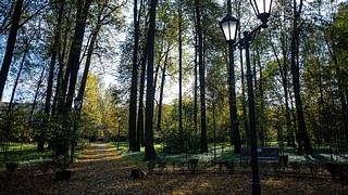 Создание «Пушкинской тропы» завершено в Больших Вязёмах