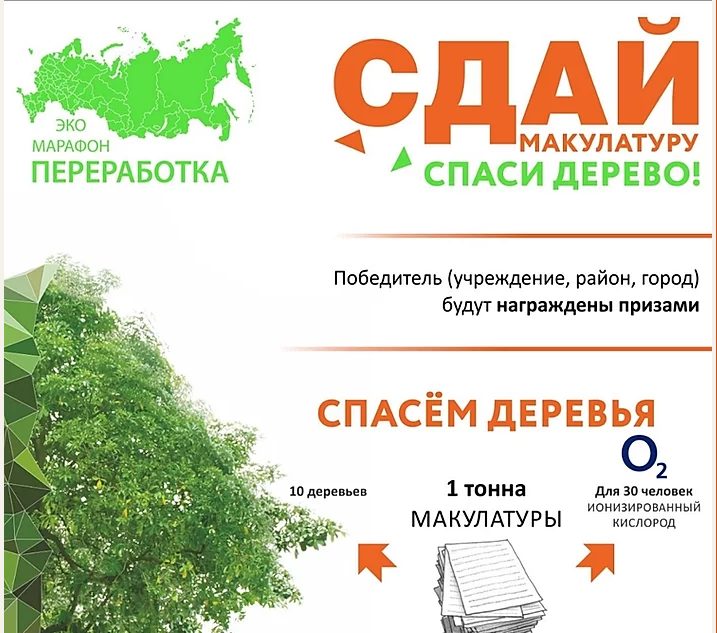 Эко-марафон  «Сдай макулатуру — спаси дерево!» пройдёт в Одинцовском округе 21 октября, Октябрь