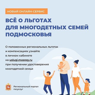 В Подмосковье заработал сервис, где рассказывают о положенных для многодетных семей льготах