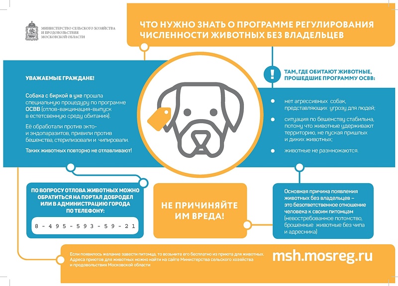 Минсельхоз Московской области информирует о программе чипизации животных, Ноябрь