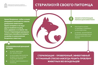 Минсельхоз Московской области объясняет, почему стерилизация полезна для домашнего животного