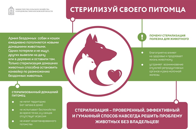 Минсельхоз Московской области объясняет, почему стерилизация полезна для домашнего животного, Ноябрь
