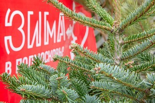 Семь елочных базаров Одинцовского округа отмечены на интерактивной карте региона