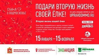 Экологическая акция «Подари своей ёлке вторую жизнь!» пройдёт в Одинцовском округе в 3 раз