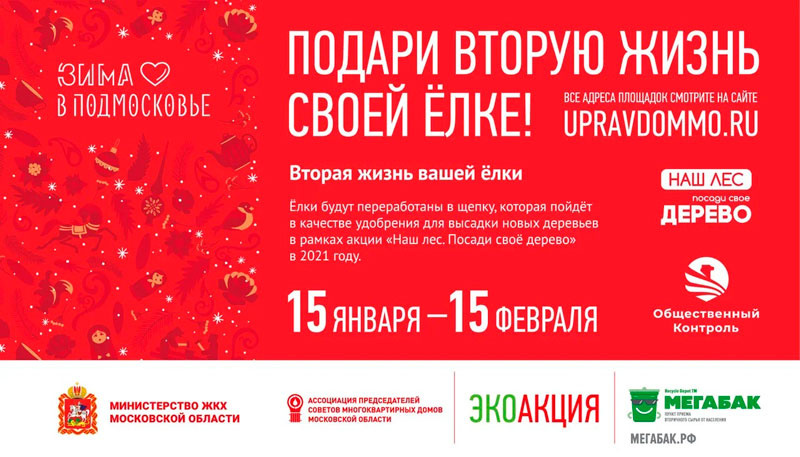 Экологическая акция «Подари своей ёлке вторую жизнь!» пройдёт в Одинцовском округе в 3 раз, Декабрь