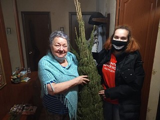 Одинцовские пенсионеры получили к Новому году бесплатные ёлки
