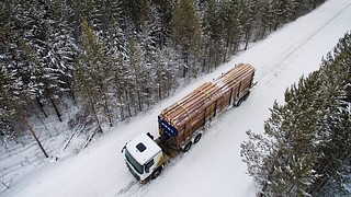 Поправки «Единой России» в Лесной кодекс сделают сферу оборота древесины более прозрачной