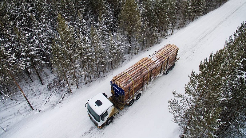 Поправки «Единой России» в Лесной кодекс сделают сферу оборота древесины более прозрачной, Декабрь