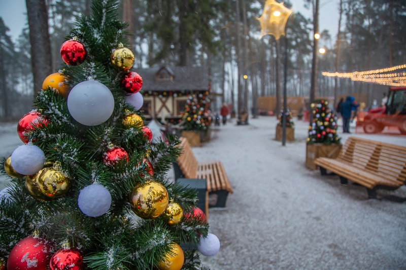 В ближайшие выходные в парке «Раздолье» откроется Зимний городок, Декабрь