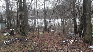 Звенигородцев приглашают 12 декабря 2020 года принять участие в субботнике