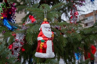 Елки в ковид-госпиталях, подарки семьям медиков и ветеранам — добровольцы организуют праздник для тех, кому нужна поддержка