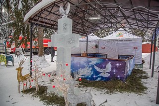 Порядка 6500 человек приняли участие в крещенских купаниях в Одинцовском округе