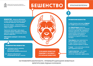 Минсельхоз Московской области предупреждает! Бешенство — опасное заболевание