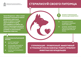 Минсельхоз московской области напоминает о положительных моментах стерилизации домашних животных