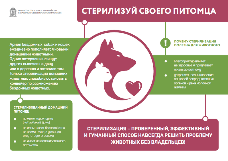 Минсельхоз московской области напоминает о положительных моментах стерилизации домашних животных, Январь