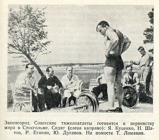 В субботнике на стадионе «Спартак» в Звенигороде приняло участие около 20 человек