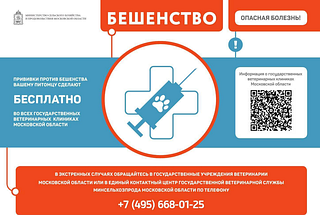 Безнадзорных животных в государственных ветеринарных лечебницах стерилизуют бесплатно