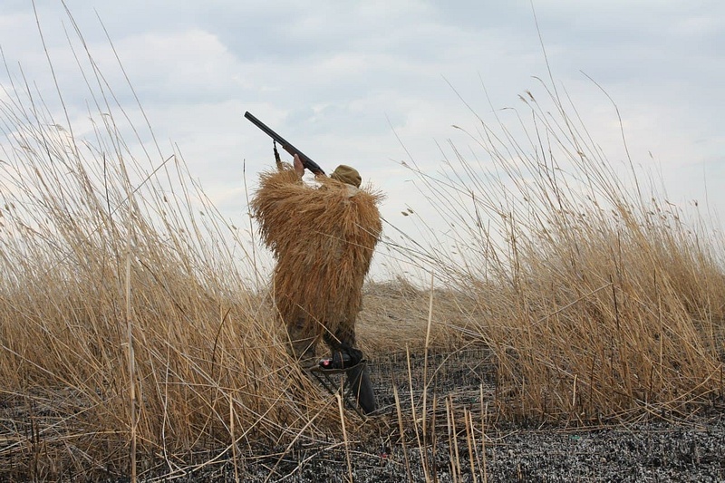 Охота на территории Московской области разрешена только при наличии действующего охотничьего билета единого образца, Март