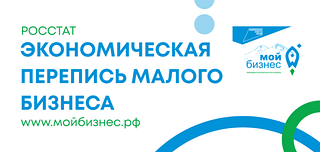 Перепись малого бизнеса