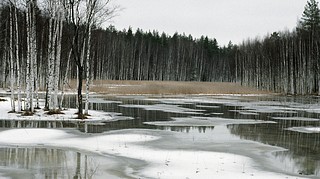 Паводки