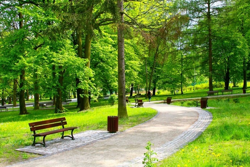 Немчиновский парк благоустроят в рамках национального проекта «Жилье и городская среда» в 2021 году, Апрель