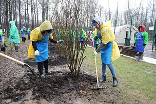 Общеобластной субботник на центральной площадке в Звенигороде