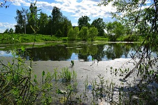 Водоем